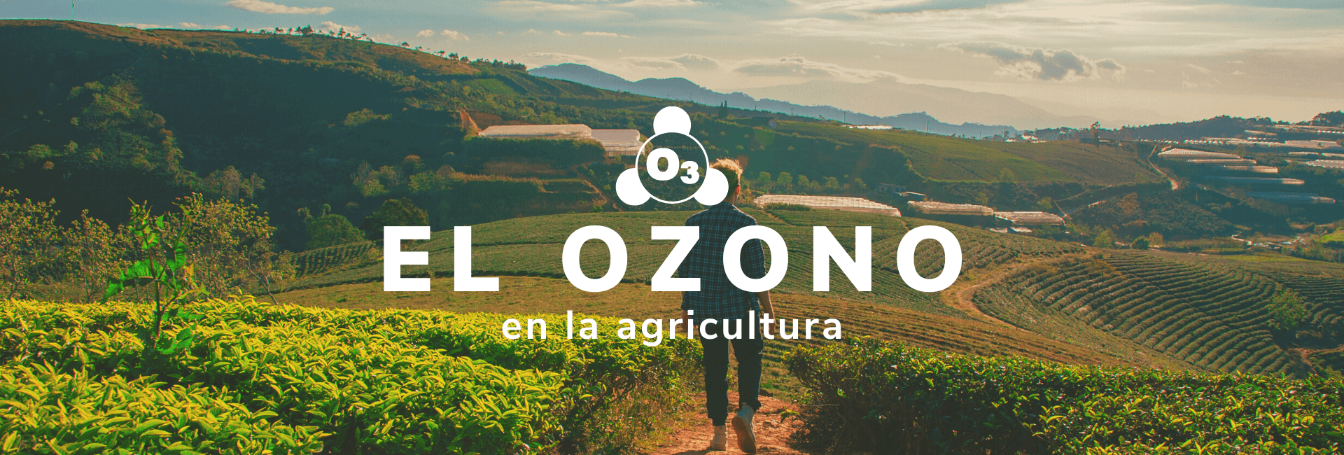 Soluciones de Ozono para la Agricultura